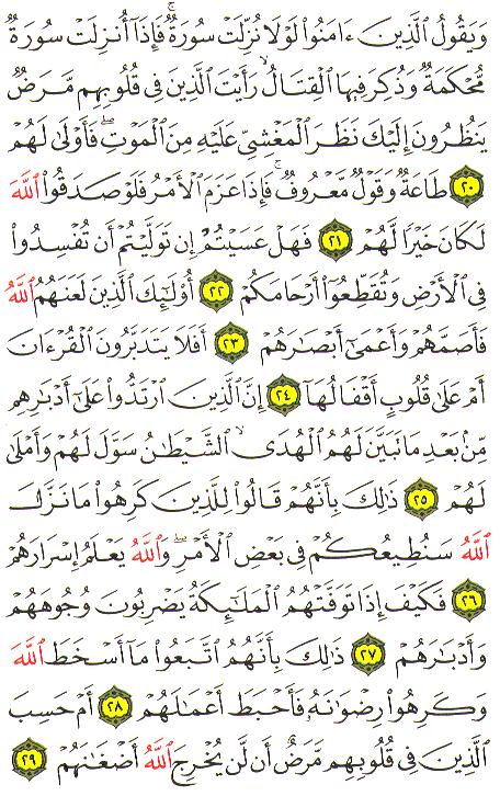 Al-Qur'an page : 509